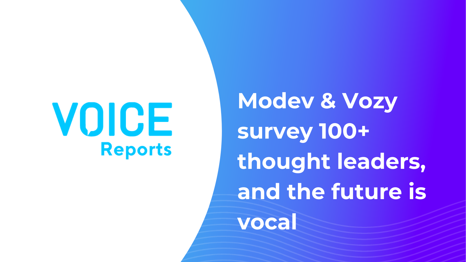 voice-and-conversational-ai-report-review